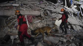 Penyebab Tsunami dan Gempa Turki: Sesar Sisam yang Tiba-tiba Pecah