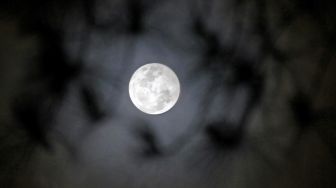 Penampakan Blue Moon di Langit Sulawesi Selatan