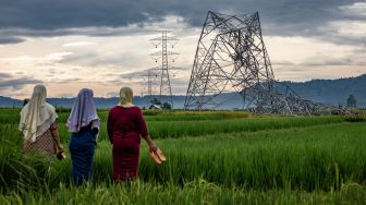 Sejumlah petani melihat menara Saluran Udara Tegangan Ekstra Tinggi (SUTET) 136 transmisi 500 KV jaringan Batang-Ungaran milik PT PLN (Persero) yang roboh di area persawahan Desa Kebumen, Tersono, Batang, Jawa Tengah, Senin (2/11/2020). [ANTARA FOTO/Aji Styawan]