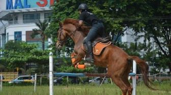 Wisata Berkuda, Alternatif Rekreasi Alam Terbuka di Kota Bertuah