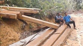 Hutan Rimbang Baling di Kuansing Dijarah, Kades: Pelaku Gunakan Alat Berat