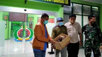 Kehilangan Induk, Bayi Orangutan Ditemukan Sendirian di Hutan Kutai Timur