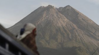 Kawanan Monyet Turun Gunung dari Gunung Merapi, TNGM Beri Penjelasan
