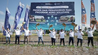 Agro Solution Pupuk Kaltim Tingkatkan Produktivitas Pertanian di Jember