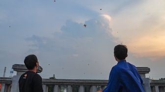 Warga bermain layangan di samping Fly Over Kalibata, Jakarta Selatan, Senin (9/11). [Suara.com/Alfian Winanto]