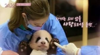 BLACKPINK Dituduh Bahayakan Bayi Panda, Apa Sikap YG Entertainment?