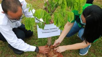 Rolling Hills Karawang Tanam Ratusan Pohon Trembesi