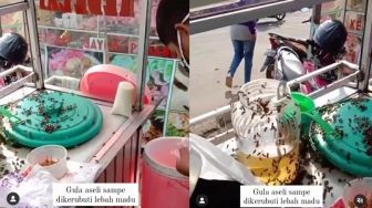 Bikin Geli! Viral Gerobak Susu Kedelai Dikerumuni Lebah, Dagangan Laris