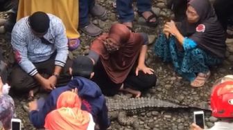 Lihat Buaya di Kota Makassar? Segera Laporkan ke Nomor Ini