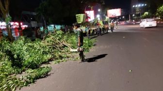 Pemkot Bandung Ganti Rugi Kendaraan Tertimpa Pohon, Bagaimana Makassar?