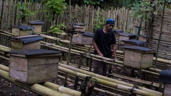 Mengejutkan Rahasia Suku Baduy Terhindar dari Wabah Covid-19