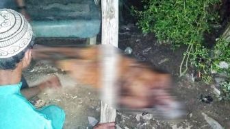 Geger! Mayat Tergeletak di Desa Gunung Kijang Bintan, Ada Luka di Jidat