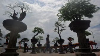 Pengunjung melihat pohon bonsai yang dipamerkan di Pantai Padang, Sumatera Barat, Minggu (15/11/2020).   [ANTARA FOTO/Iggoy el Fitra]
