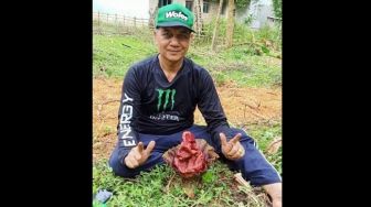 Bunga Bangkai Amorphophallus Paeoniifolius Mekar di Serang, Warga Geger