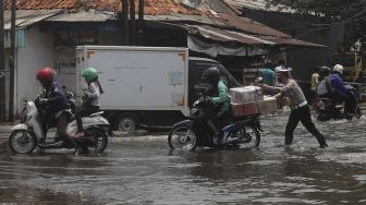 Cegah Banjir Rob, Pemprov DKI Tanam 5.000 Bibit Bakau di Pantai Indah Kapuk
