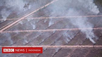 Dugaan Pembakaran Lahan untuk Sawit di Papua, DPR: Injak Harga Diri Bangsa