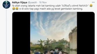 Sebut Kambing Binatang Liar, Gadis Ini Malah Dicibir Warganet