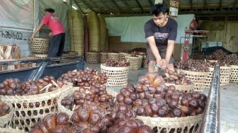 Harga Merosot, Bupati Karangasem Minta Warga Beli Salak Saat Gelar Hajat