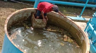 Tirta Kencana Samarinda Jajaki Kerja Sama dengan Perusahaan Korea untuk Pasokan Air Bersih