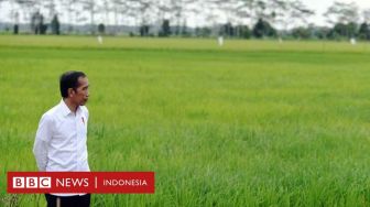 Proyek Food Estate: Awas Bencana dan Konflik dengan Masyarakat Adat