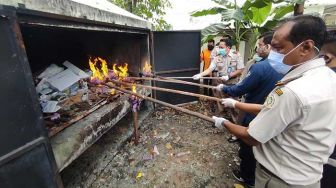 Cegah Penyakit, Bibit Cabai hingga Tanaman Hias Asal Luar Negeri Dibakar