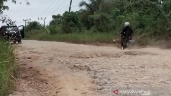 Bertahun-tahun Mangkrak, Jalan Trans Kalimantan di Calon Ibu Kota Bakal Diperbaiki