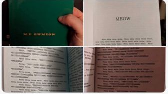 Beli Buku Soal Kucing, Pemuda Ini Menyesal Karena Isinya Hanya Kata &#039;Meow&#039;