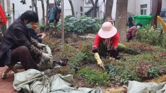 Warga kompleks permukiman Tonghu bercocok tanam di kebun di Kota Wuhan, Provinsi Hubei, China, Jumat (20/11/2020). [ANTARA FOTO/M. Irfan Ilmie]
