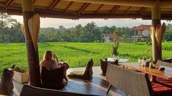 Di Tengah Sawah, Dibikin Asyik Memotret saat Sambangi Pomegranate Cafe