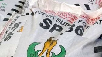 Kabar Baik! Lebak Akan Dapat Tambahan Pupuk Bersubsidi