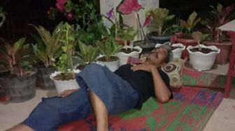 Viral Suami Tidur di Luar, Jaga Koleksi Tanaman Hias Milik Istri