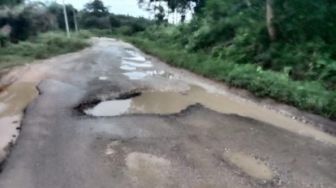 Ruas Jalan Provinsi Menuju Pucuk Rantau Kuansing Rusak Parah