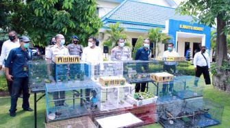 Bawa Ratusan Burung Dilindungi, Pria Asal Banjarmasin Dibekuk