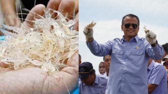 Dibekuk KPK, Segini Pundi-pundi Kekayaan Menteri KKP Edhy Prabowo