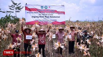 Pemkab Malang Berdayakan Ekonomi Warga Lewat Komoditi Jagung