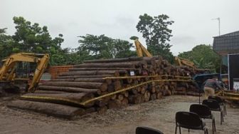 Sikat Perusak Hutan, Kapolda Riau Tindak Tegas Pelaku Sawmill