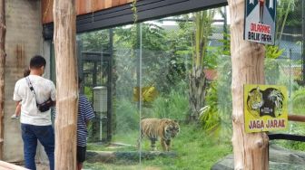 Belum Buka Objek Wisata Selain Gembira Loka Zoo, Pemkot Jogja Beri Penjelasan Ini