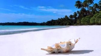 Fasilitas Smart Tourism Hadir di Pantai Ngurbloat Maluku Tenggara