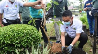 Percantik Trotoar A Yani dengan Pohon Berbunga