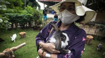 Pengunjung memegang kelinci di Taman Kelinci Bambu Apus, Cipayung, Jakarta, Jumat (27/11/2020).  [ANTARA FOTO/Aprillio Akbar]
