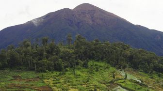 Areal perladangan ilegal dalam kawasan Taman Nasional Kerinci Seblat (TNKS) dengan latar belakang Gunung Kerinci terlihat dari Desa Kebun Baru, Kerinci, Jambi, Minggu (29/11/2020). [ANTARA FOTO/Wahdi Septiawan]