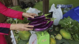 Warga menimbang hasil pertanian saat panen serentak di Susia Garden, Kalibata, Jakarta, Senin (30/11/2020). [Suara.com/Angga Budhiyanto]