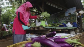 Warga menimbang hasil pertanian saat panen serentak di Susia Garden, Kalibata, Jakarta, Senin (30/11/2020). [Suara.com/Angga Budhiyanto]