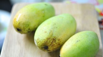 Makan Mangga Madu Bikin Awet Muda, Ternyata Bisa Begini Efeknya