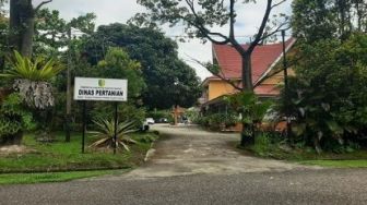 Karena Hal Ini, 2021 Pemkab Kuansing Cuma Sediakan 14.850 Bibit Sawit