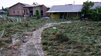 Warga berada di dekat tanaman padi yang rusak pascabanjir di Kecamatan Sunggal, Deli Serdang, Sumatera Utara, Sabtu (5/12/2020). [ANTARA FOTO/Irsan Mulyadi]