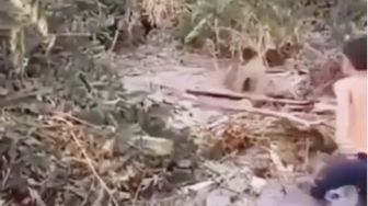 Viral Video Bocah di Makassar 'Main' Sama Buaya di Sungai, Publik Heran