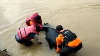 Terseret Arus Saat Seberangi Sungai, Yongki Ditemukan Tak Bernyawa