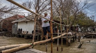 Seorang warga meniti jembatan bambu darurat akibat jalan utama hancur diterjang ombak di Desa Bedono, Sayung, Demak, Jawa Tengah, Selasa (8/12/2020). [ANTARA FOTO/Aji Styawan]
