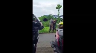 Video Viral Suami di Gresik Ngajak Duel Sopir Angkot Karena Sering Angkut Istrinya